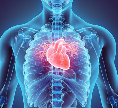 Angina Pectoris - A Pipeline Analysis Report